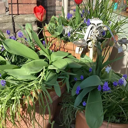 Harcombe Barn Near * Bristol