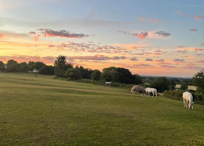Harcombe Barn Near *