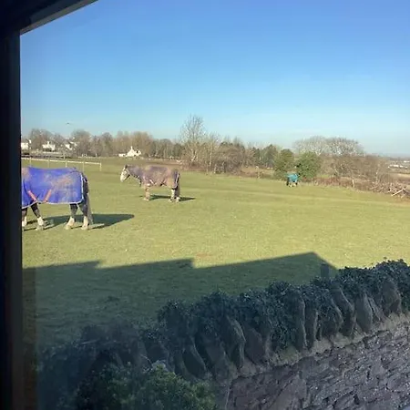 Prázdninový dům Harcombe Barn Near