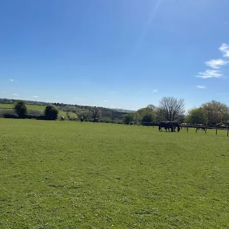 Tatil Evi Harcombe Barn Near Bristol