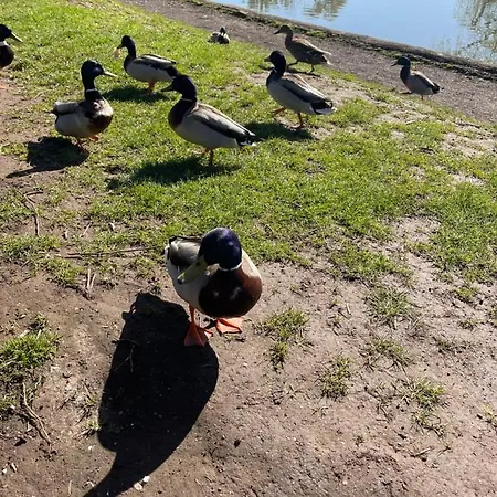 Harcombe Barn Near *