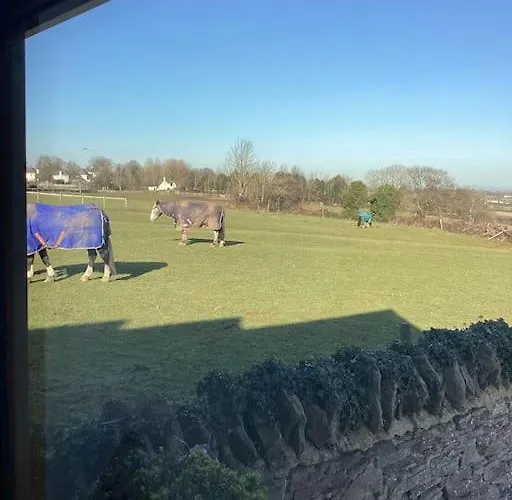 Dom wakacyjny Harcombe Barn Near