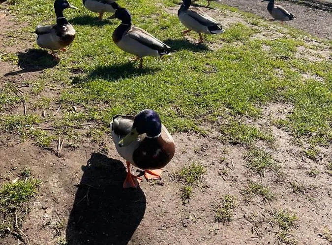 Harcombe Barn Near *